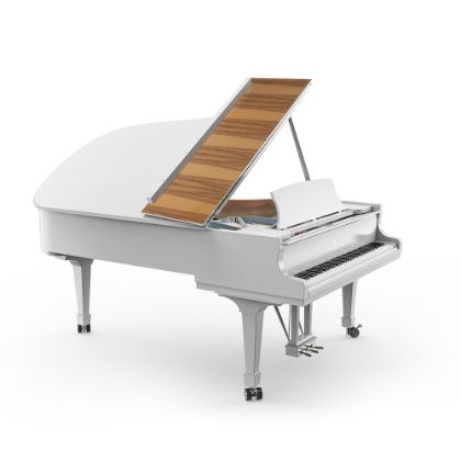 The Duet Series